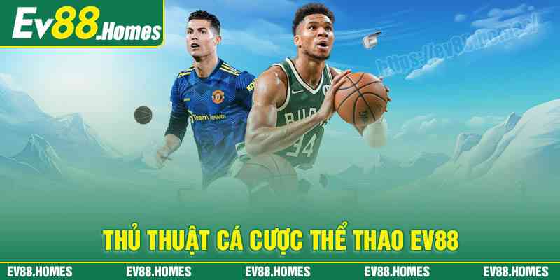 Thủ thuật cá cược thể thao EV88 luôn thắng lớn